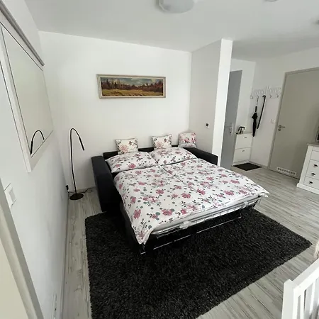 Apartamento Za Humny - Krasa Krusnych Hor Horní Blatná